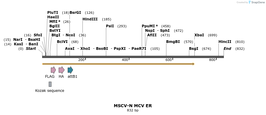 49893_map