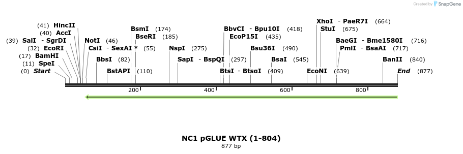 49894_map
