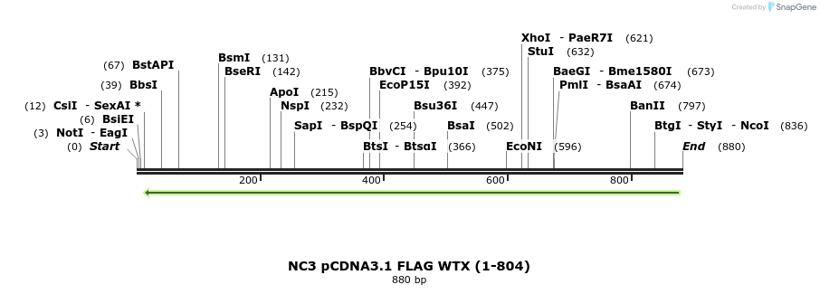 49895_map
