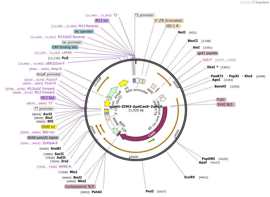 498950_map
