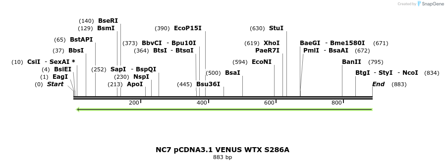 49897_map