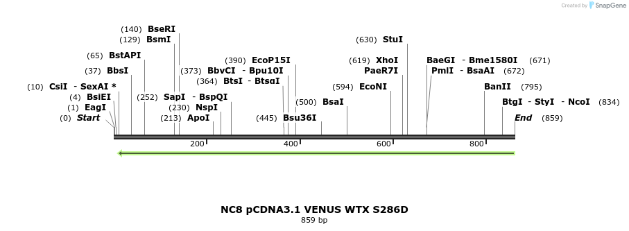 49898_map