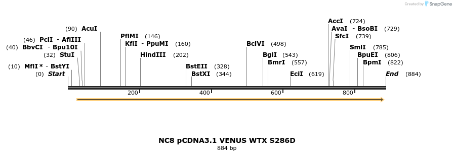 49900_map