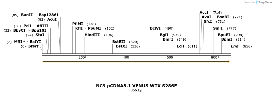 49901_map