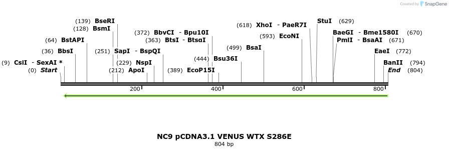 49902_map