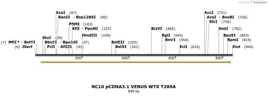 49903_map