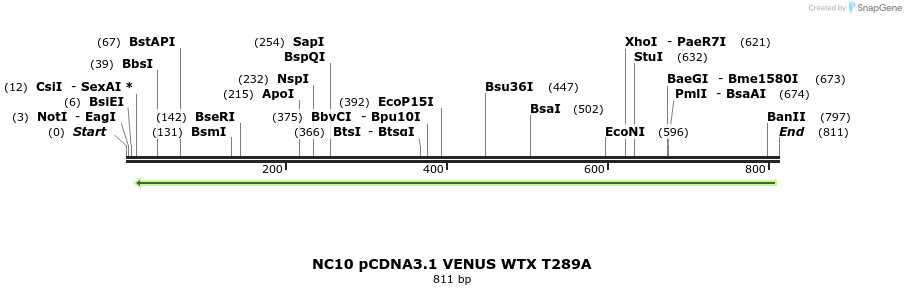 49906_map