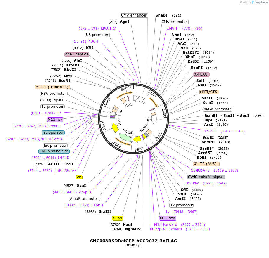 499070_map