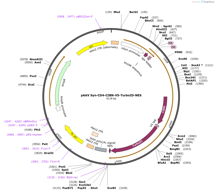 499071_map
