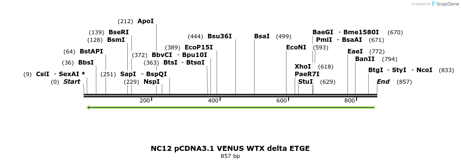 49909_map