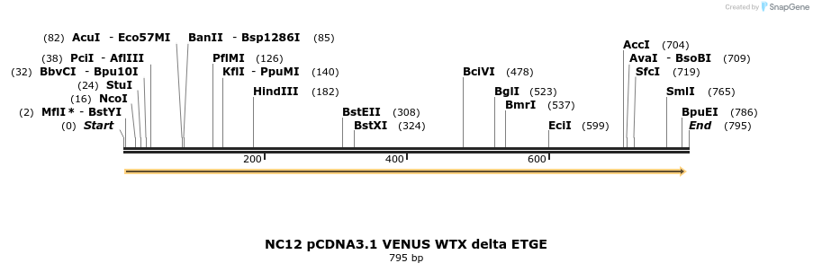 49911_map