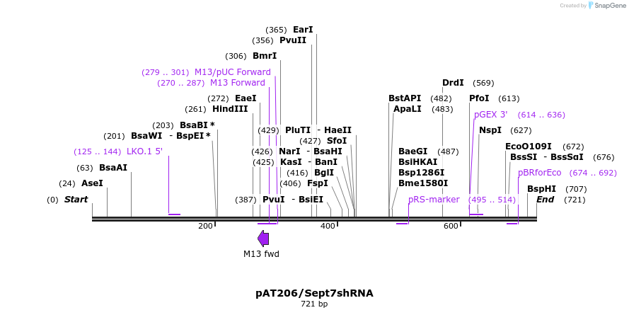 49912_map