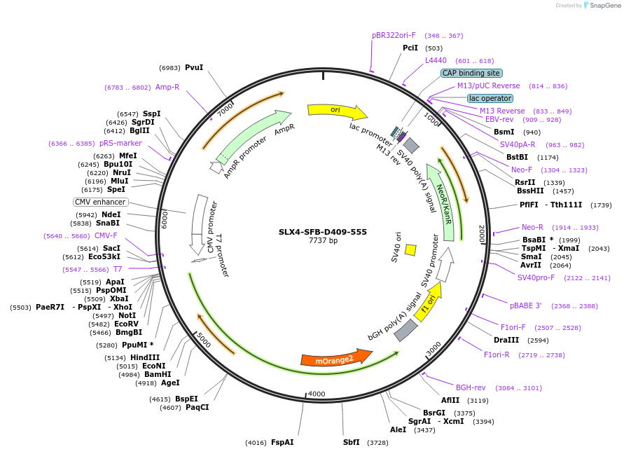 499154_map