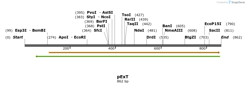 49916_map