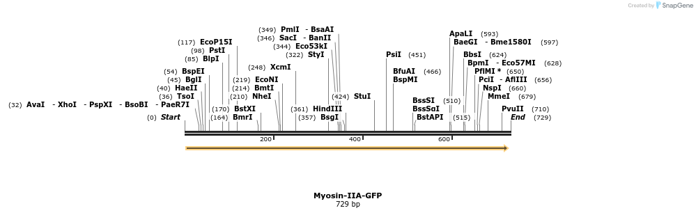 49917_map