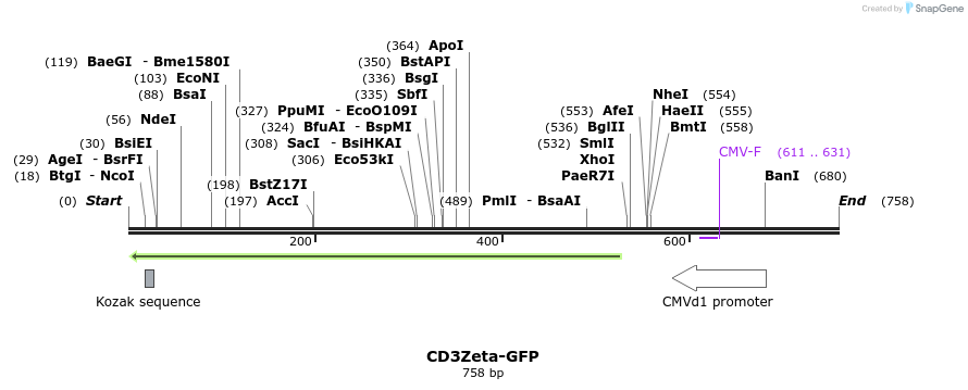 49919_map