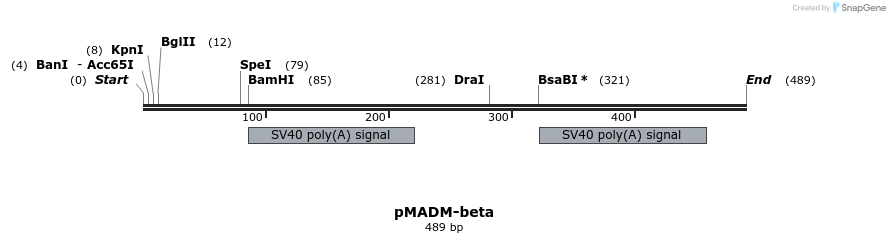 49921_map
