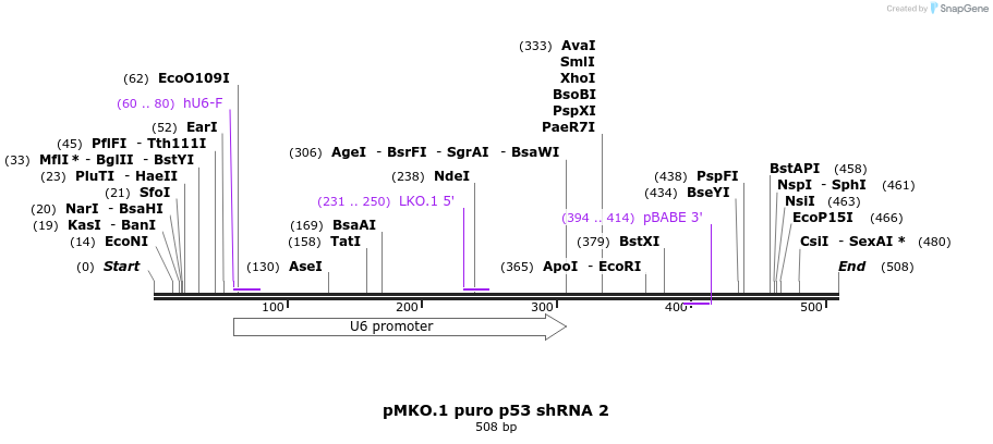 49922_map