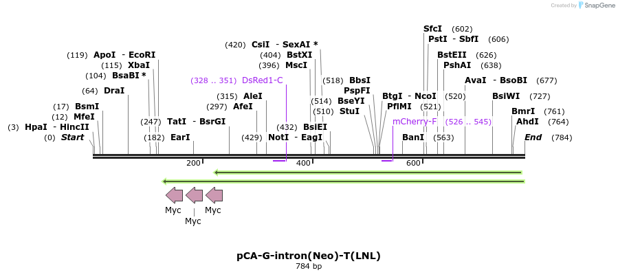 49927_map