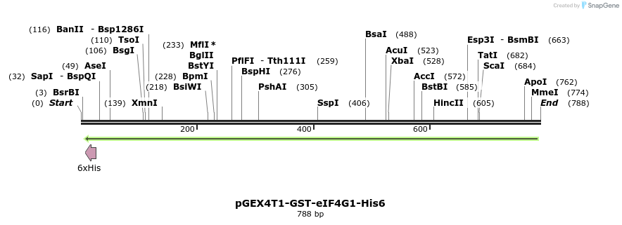 49934_map