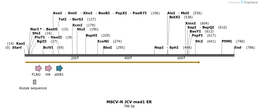 49935_map