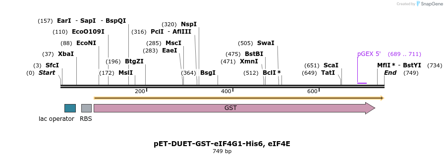 49936_map
