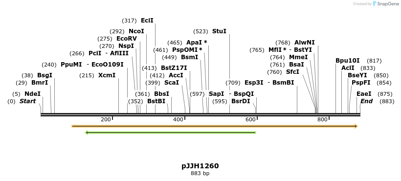 49940_map