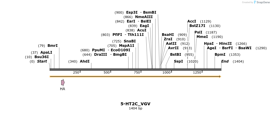 499403_map