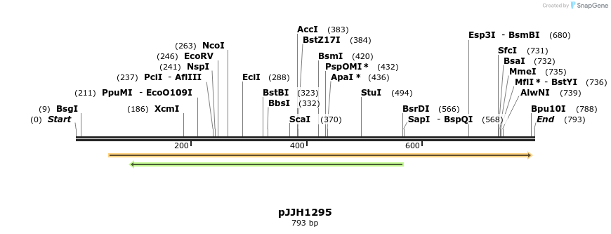 49943_map