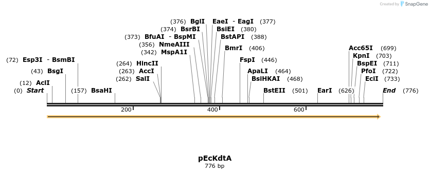 49946_map