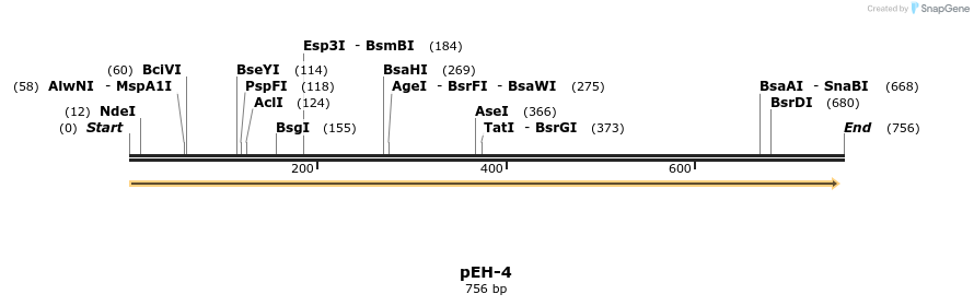 49947_map