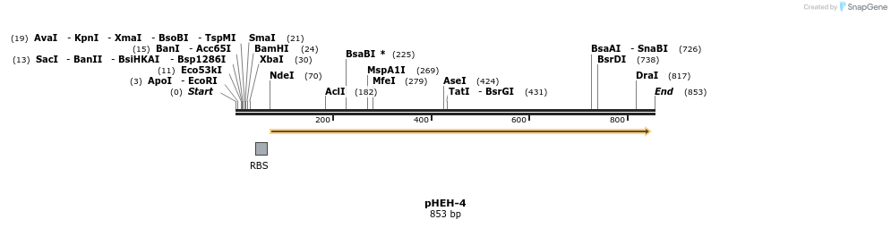 49957_map