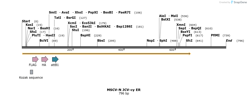 49968_map