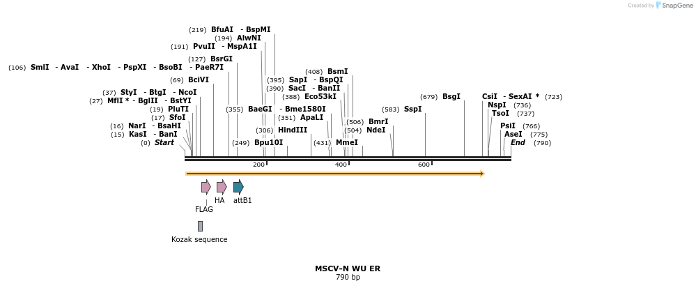 49971_map