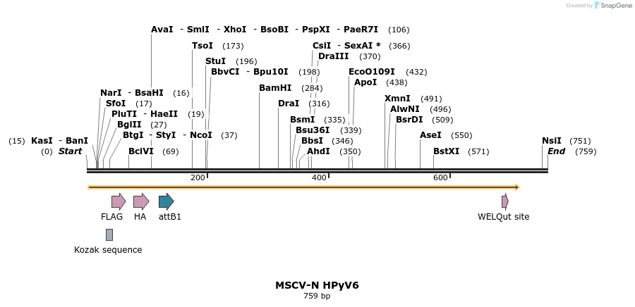 49973_map
