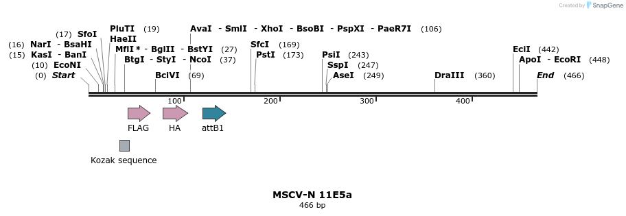 49974_map