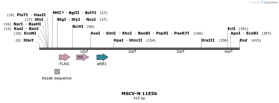 49975_map