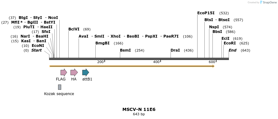 49976_map