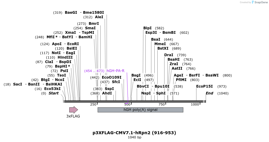 499764_map