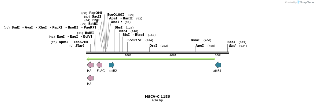 49979_map