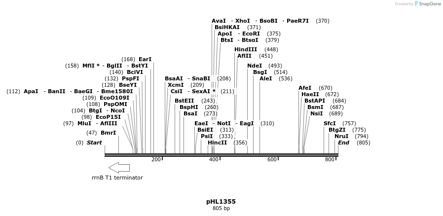 49981_map