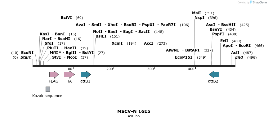 49982_map