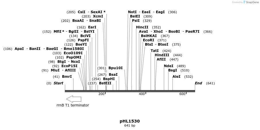 49984_map