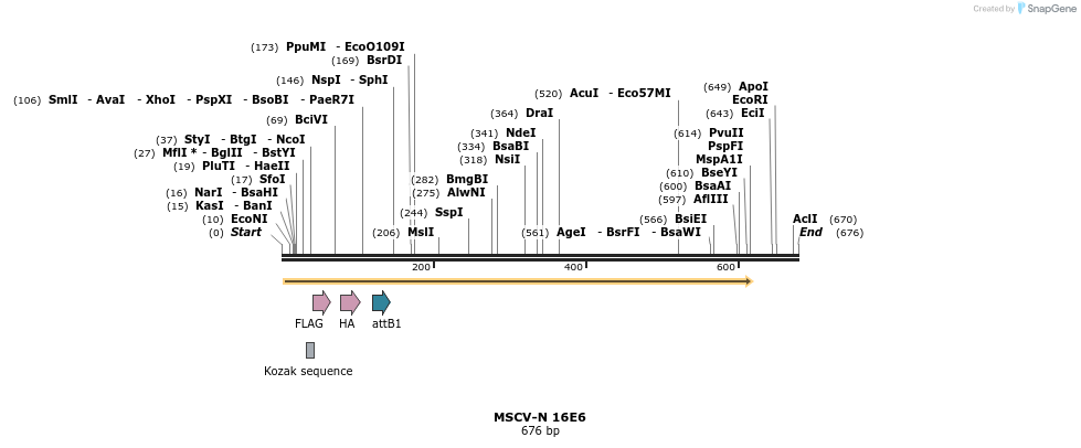 49985_map