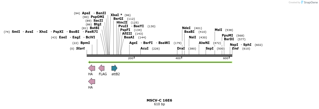 49989_map