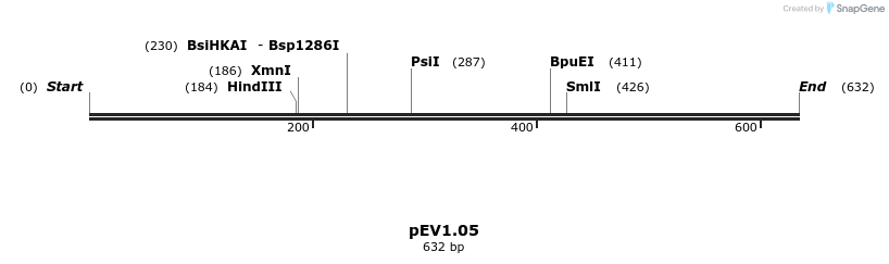 49990_map