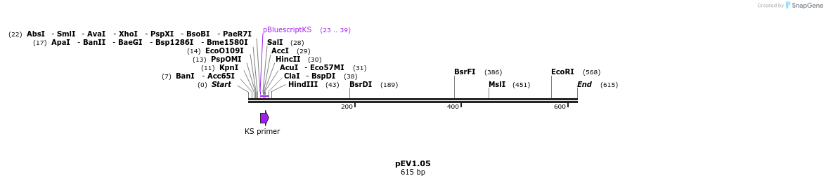 49992_map