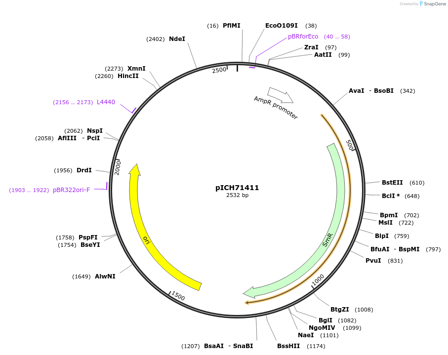 50345-plasmid-map-sequence-id-499923