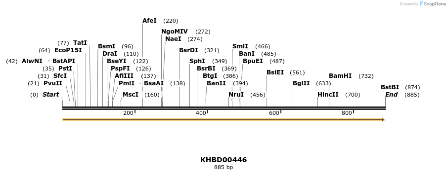 49999_map