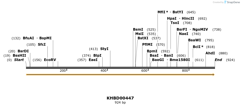 50000_map